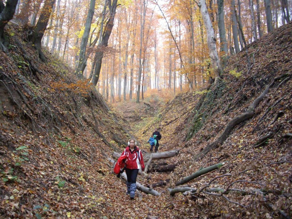 Active Vendeghaz Keszthely Otel Dış mekan fotoğraf
